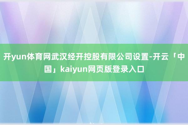 开yun体育网武汉经开控股有限公司设置-开云「中国」kaiyun网页版登录入口